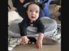 Quinn Weber (Cary, 9 months) celebrated her first Halloween dressed as a bat by mom, Tiffany.