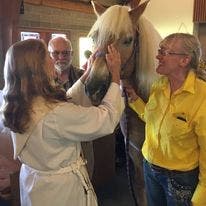 Blessing of the animals and solar panels