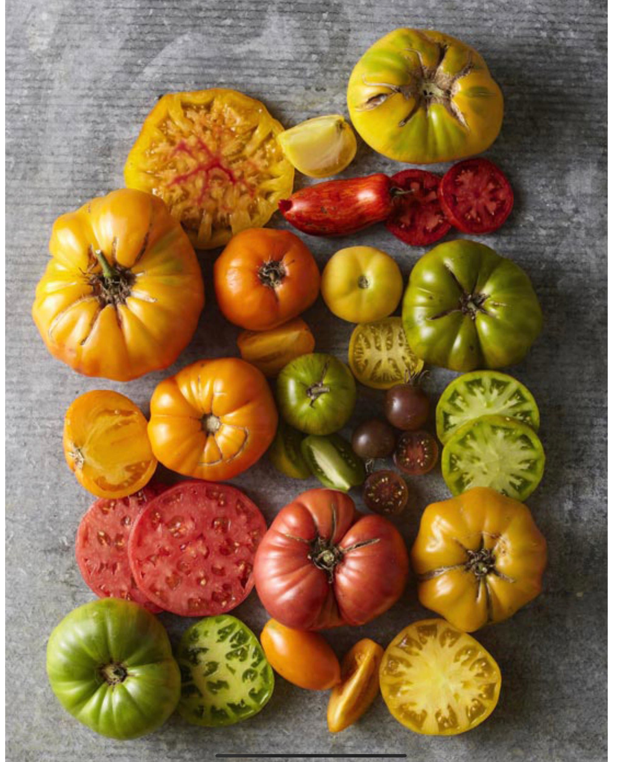 May 21 Heirloom Tomato plant sale! IL Patch