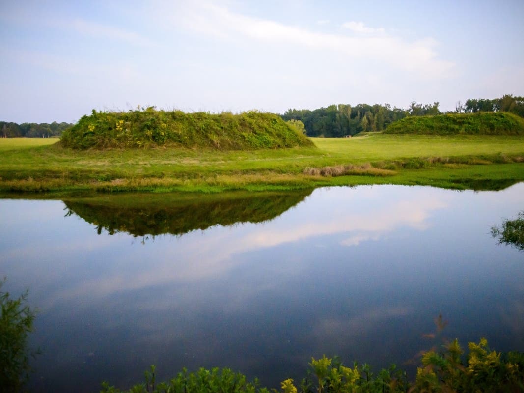 Moundville Archaeological Park 