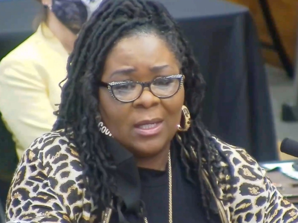 District 7 Councilwoman Sonya McKinstry gives a presentation in Invest 73 to the Tuscaloosa City Council's finance commitee