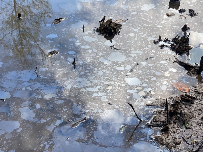 A fuel of some kind could be seen in a large pool of water near the spill site a little more than a week ago (Photo by Ryan Phillips, Tuscaloosa Patch)