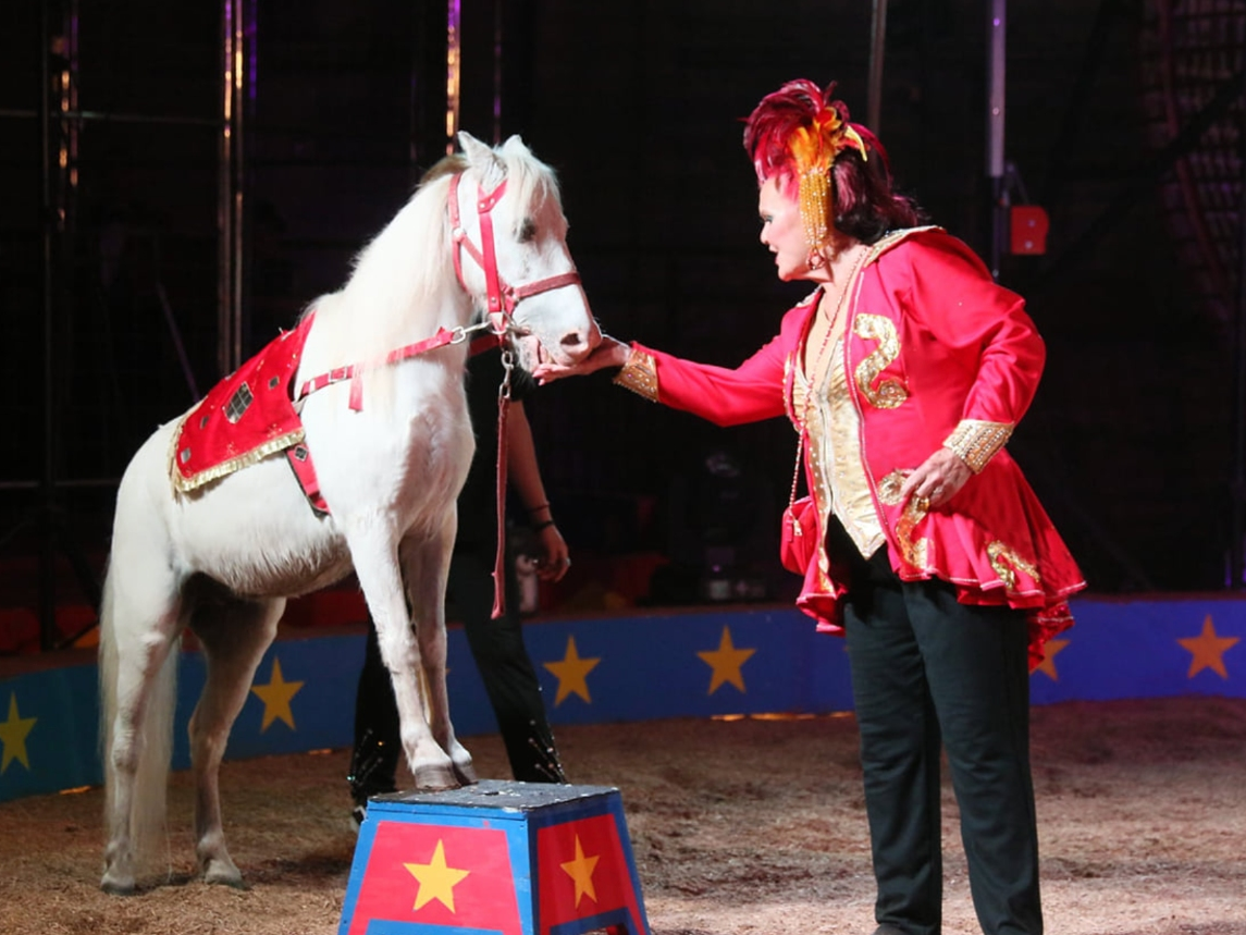 Loomis Bros. Circus is set for a pair of shows in Ralph on Nov. 11