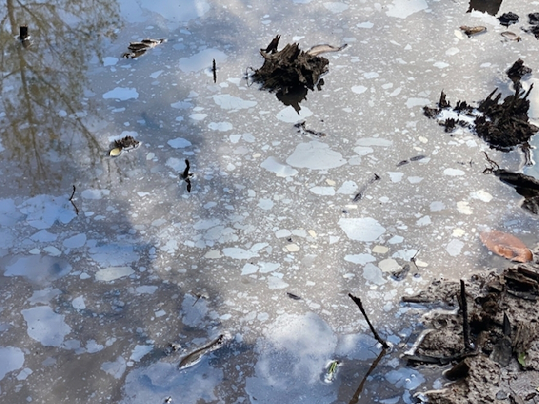 Oil or petroleum of some kind could been seen on the top of standing water at the spill site (Photo by Ryan Phillips, Patch.com)