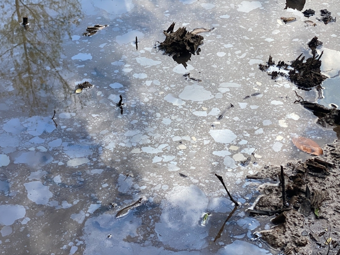 Fuel of some kind was visible in standing water at the spill site 