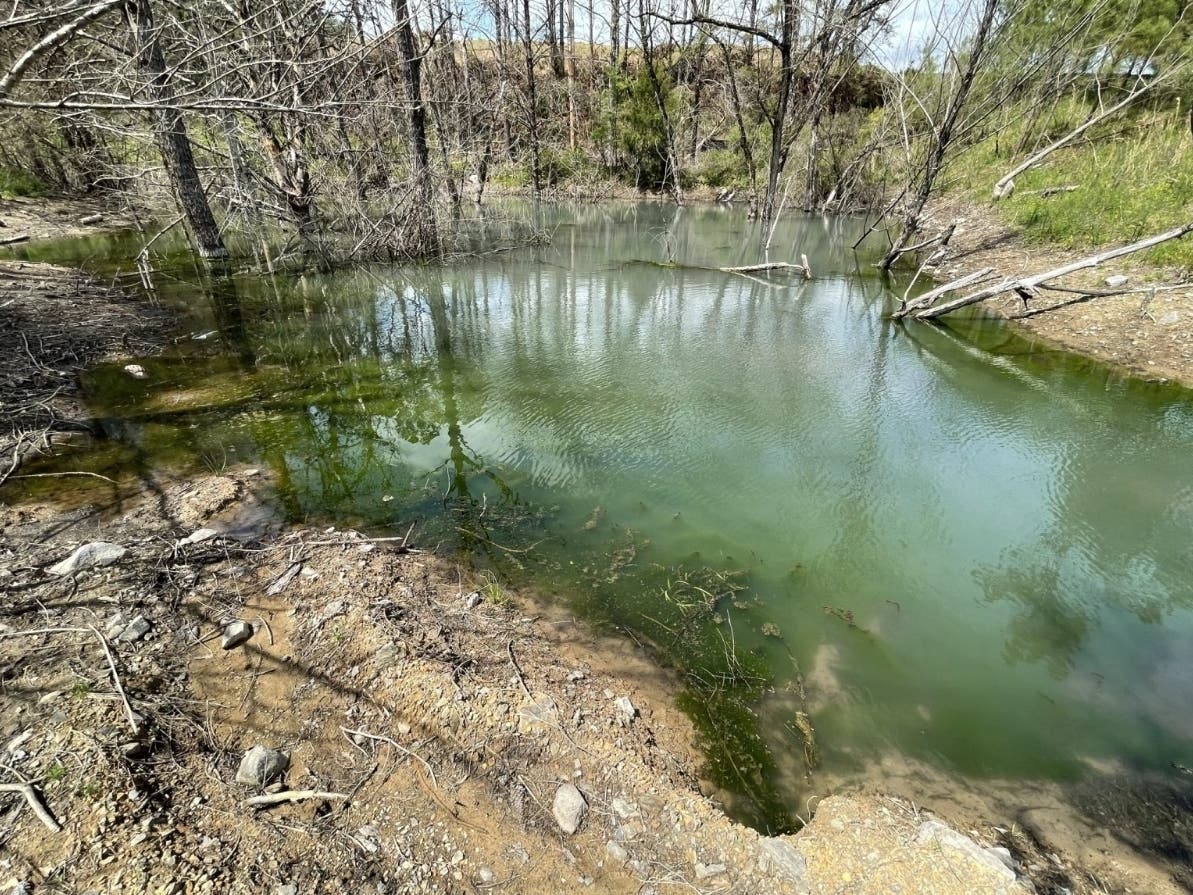 Mine No. 7’s unpermitted seeps in local tributaries