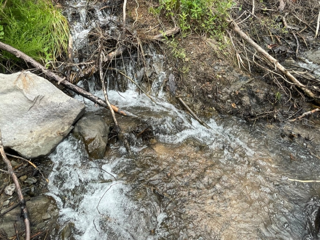 One of the wastewater seeps allegedly resulting from unpermitted dumping by Warrior Met Coal
