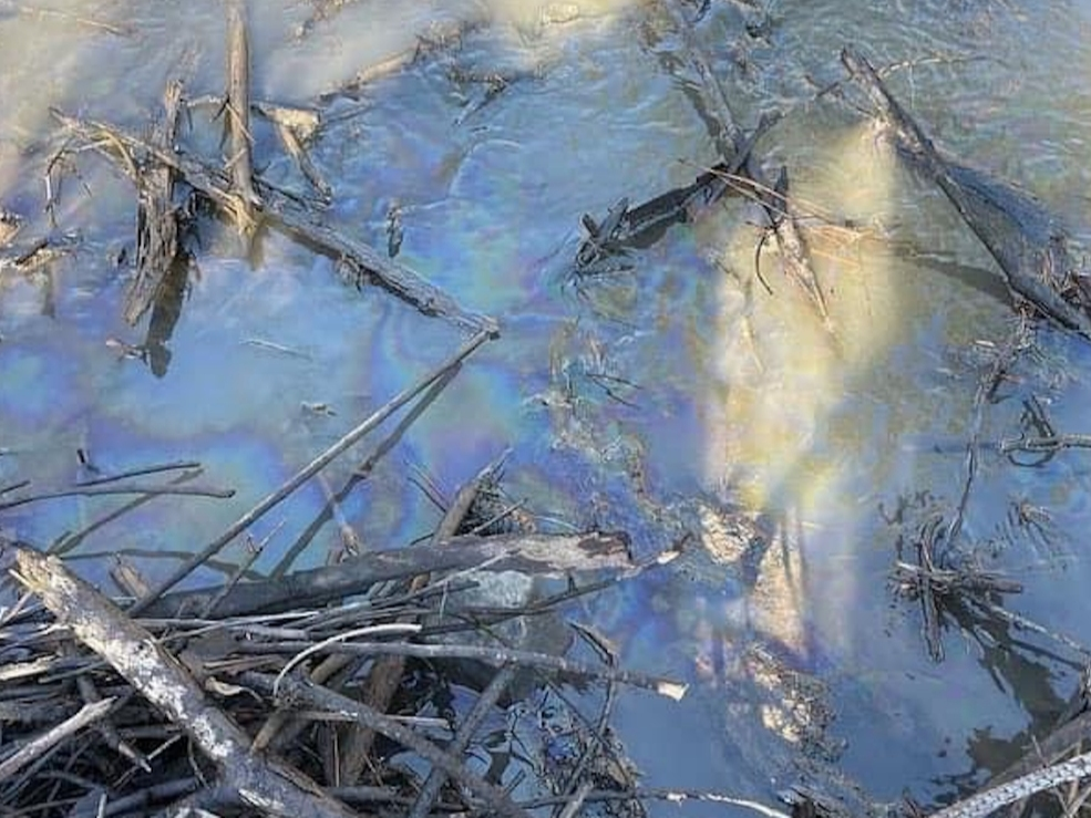 The sheen of some kind of petroleum product can be seen on the surface of a small tributary that feeds into Texas Creek. 
