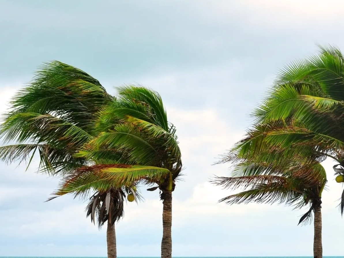 Tropical System To Strengthen In Gulf, Dolly’s Remnants Move Toward FL: NHC