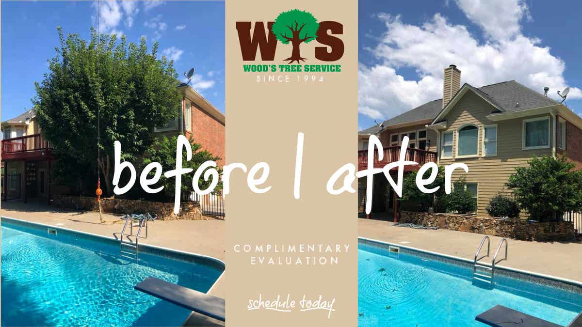 Wood's Tree Service