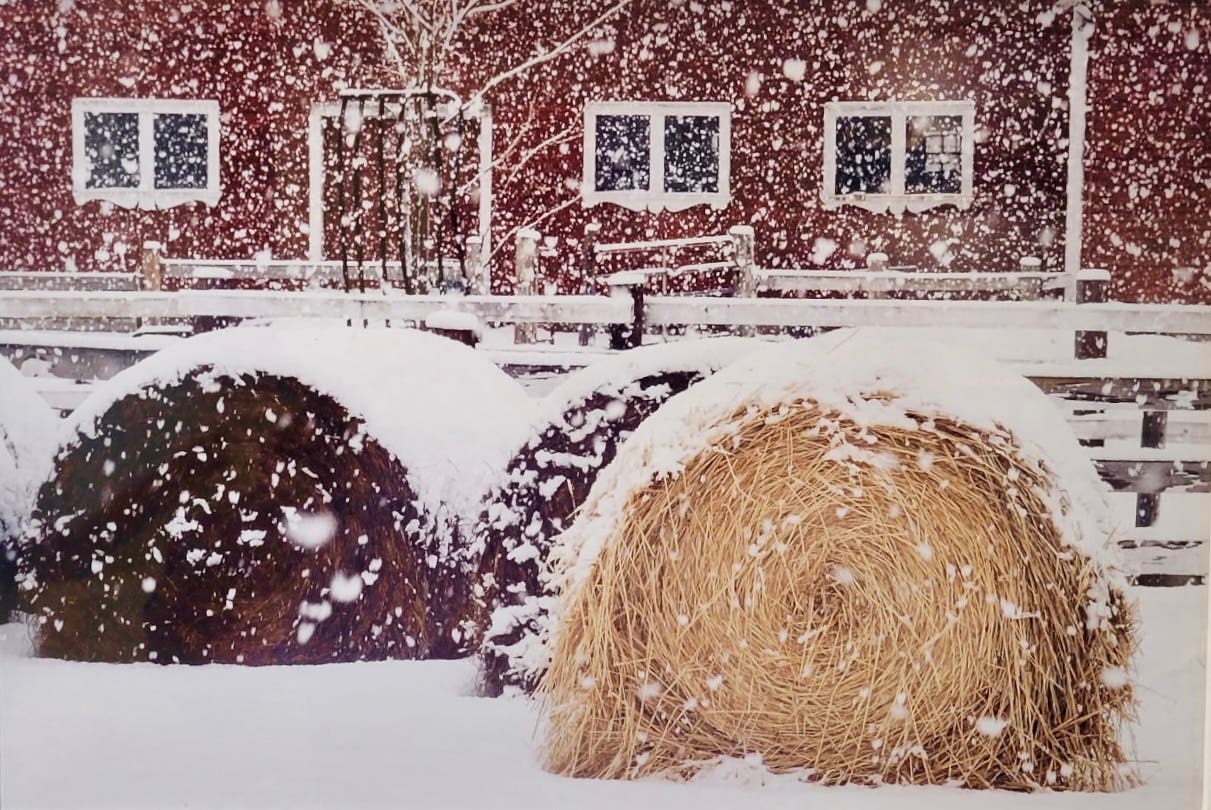 Wellesley Free Library hosts photo exhibit “Local Color: In and Around Wellesley”