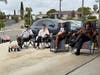 "Driveway Dog" Rembrandt, on the left, Jason, Kelly Cook, center, George and Kathleen Simental, right. 