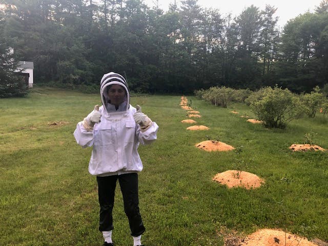 Life on the Seas, Life with the Bees