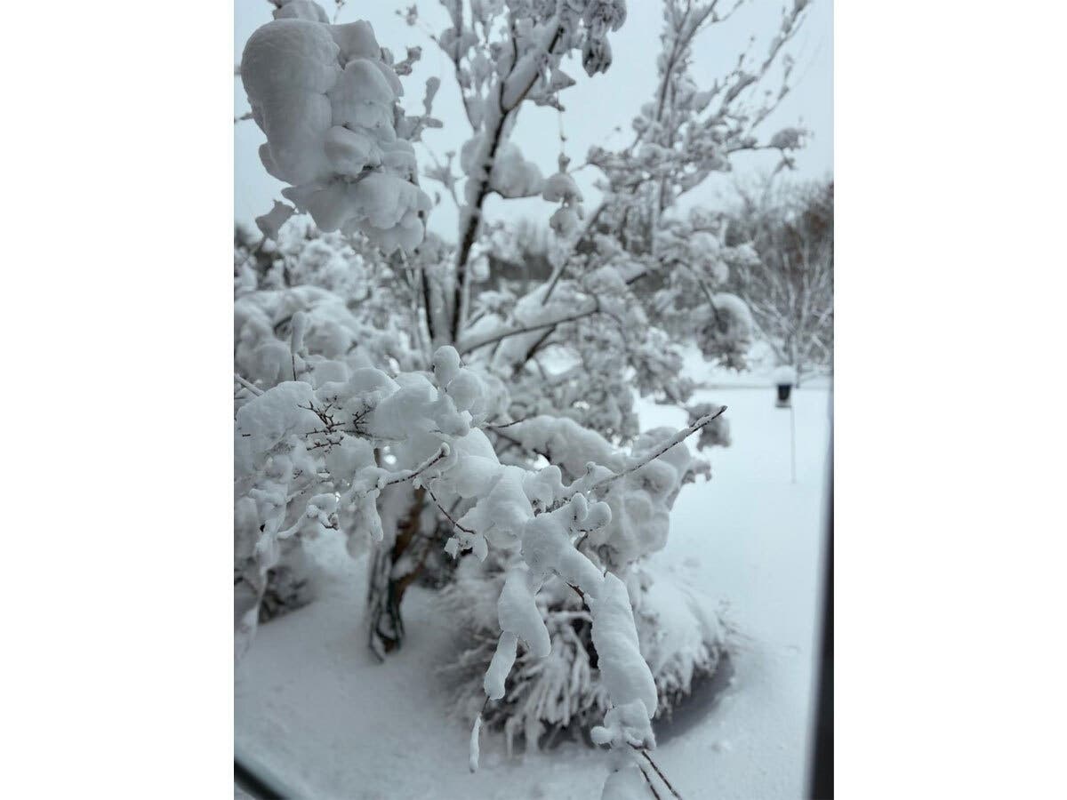 Princeton received 16 inches of snow