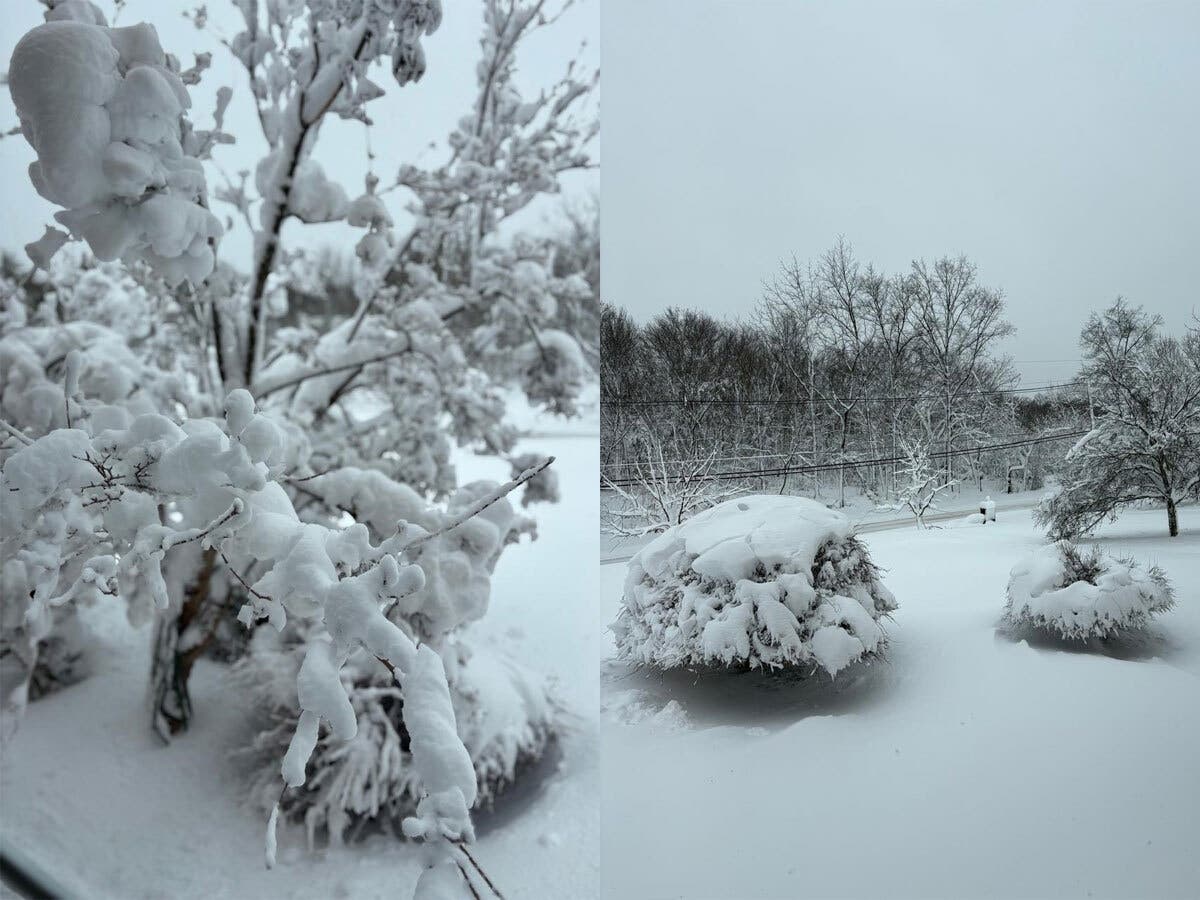 Here are the snowstorms that made history in the state