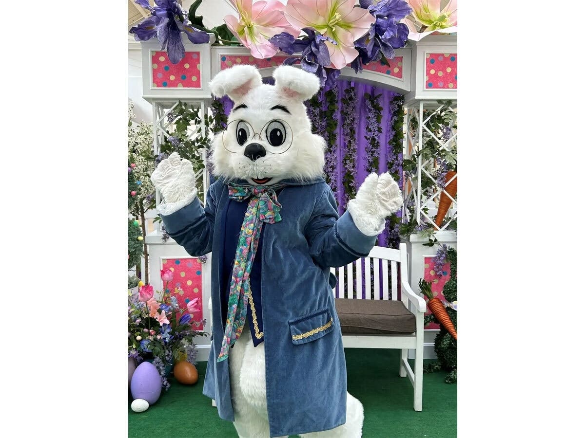 The events will run through April 4.