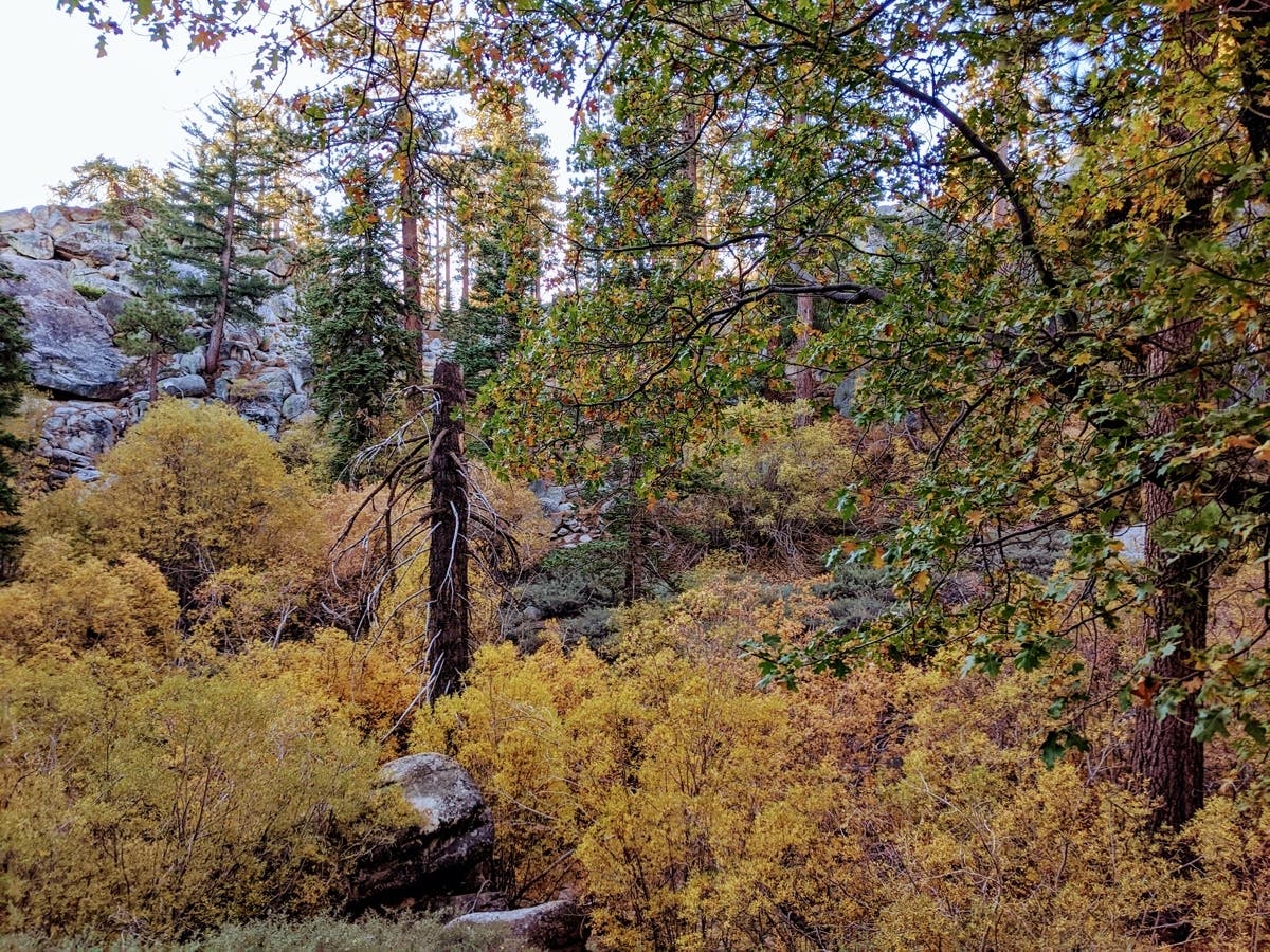 Tiffany Murphy took this photo while she was out hiking in Big Bear's beautiful mountain range.