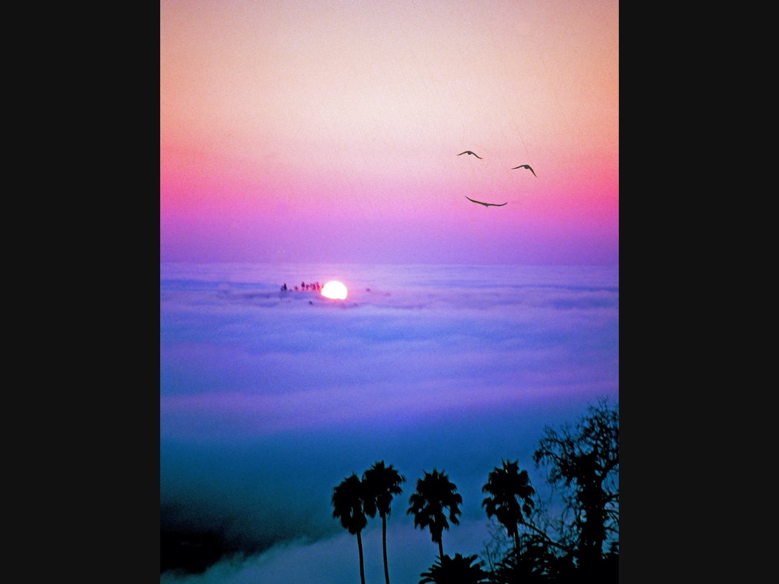 This beautiful photo of the Santa Barbara sky was taken by Patch reader Gary Greene.