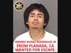 Andres Nunez Rodriguez Jr. — 21 years old, Hispanic male adult, 5 foot 7, 145 pounds, black hair, brown eyes, from Planada, Ca – Current Charges - Attempted Murder, shooting at an inhabited dwelling, participation in a criminal street gang and more.