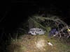 Deputies found the family still in their vehicle, which was heavily damaged and appeared to have fallen 150 feet off the road and 200 feet into the ravine, officials said.

