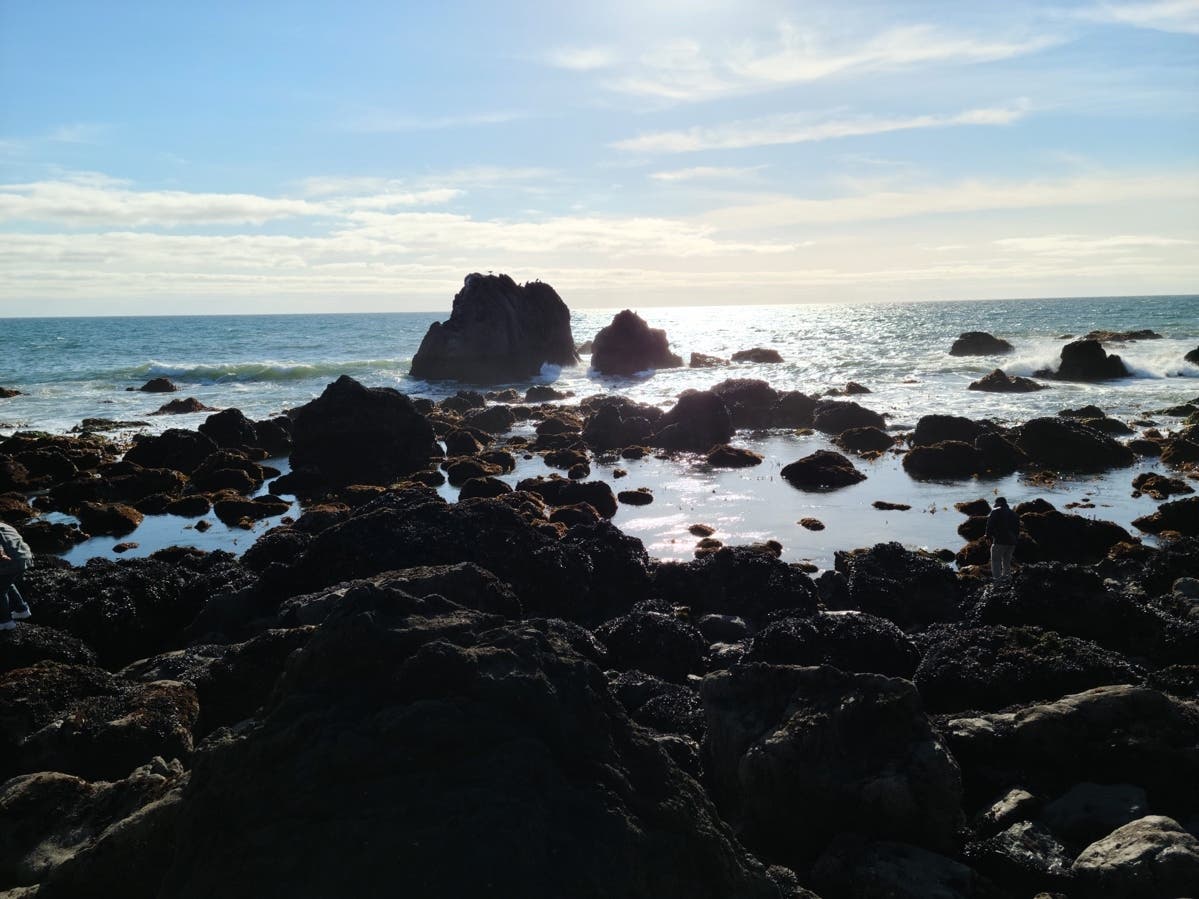 Patch reader Daniel Hillman shot this gorgeous photo of Bodega Bay. 