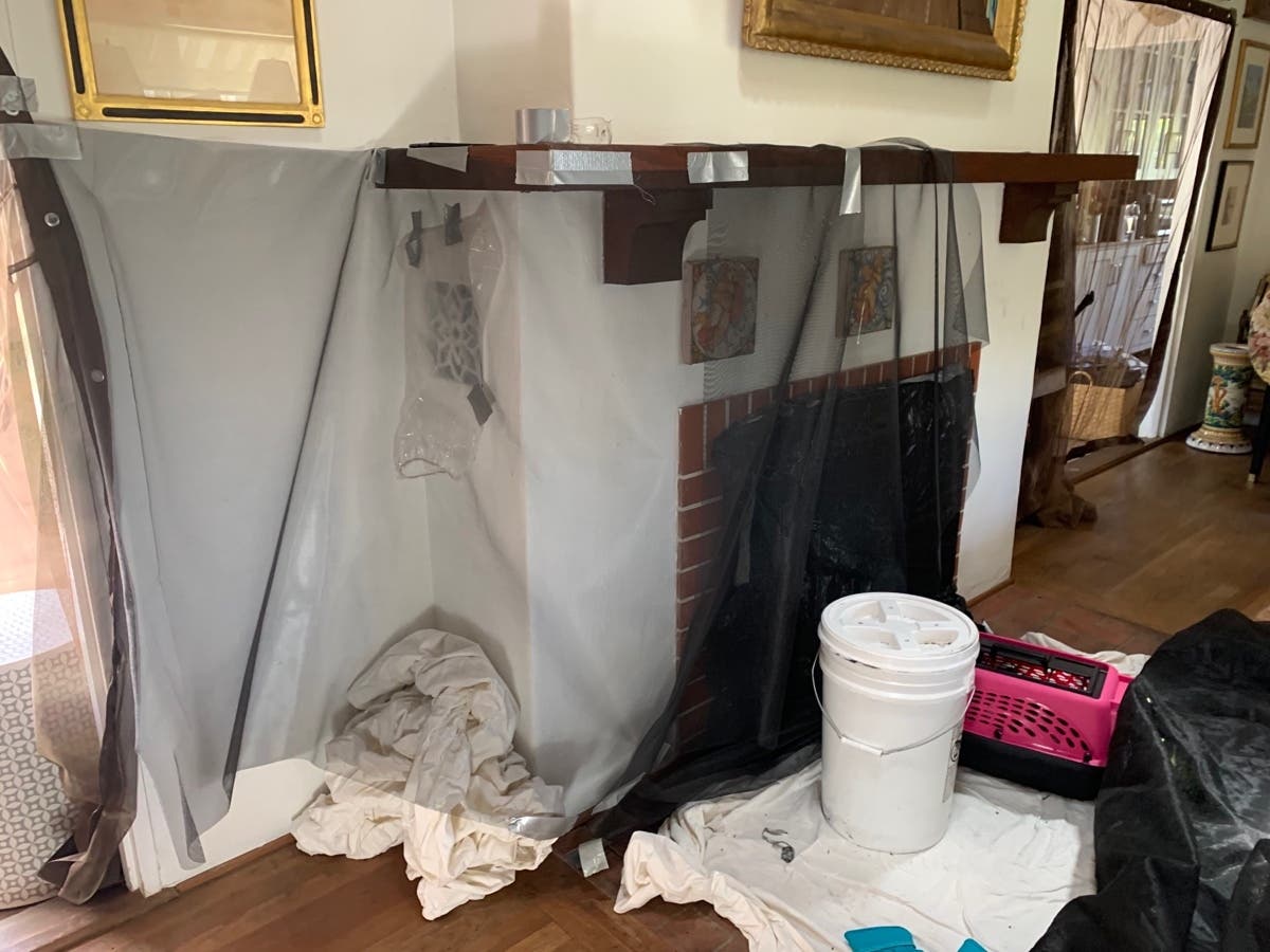 Firefighters were tasked with the head-scratching process of trying to lure 1,000 small migrating birds, identified as swifts, back up the chimney flue, officials from the Montecito Fire Department said. 