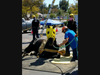 A rescue crew from the San Diego Humane Society was able to hoist a Fresian to her feet after an accident in a trailer on the freeway in Escondido. 