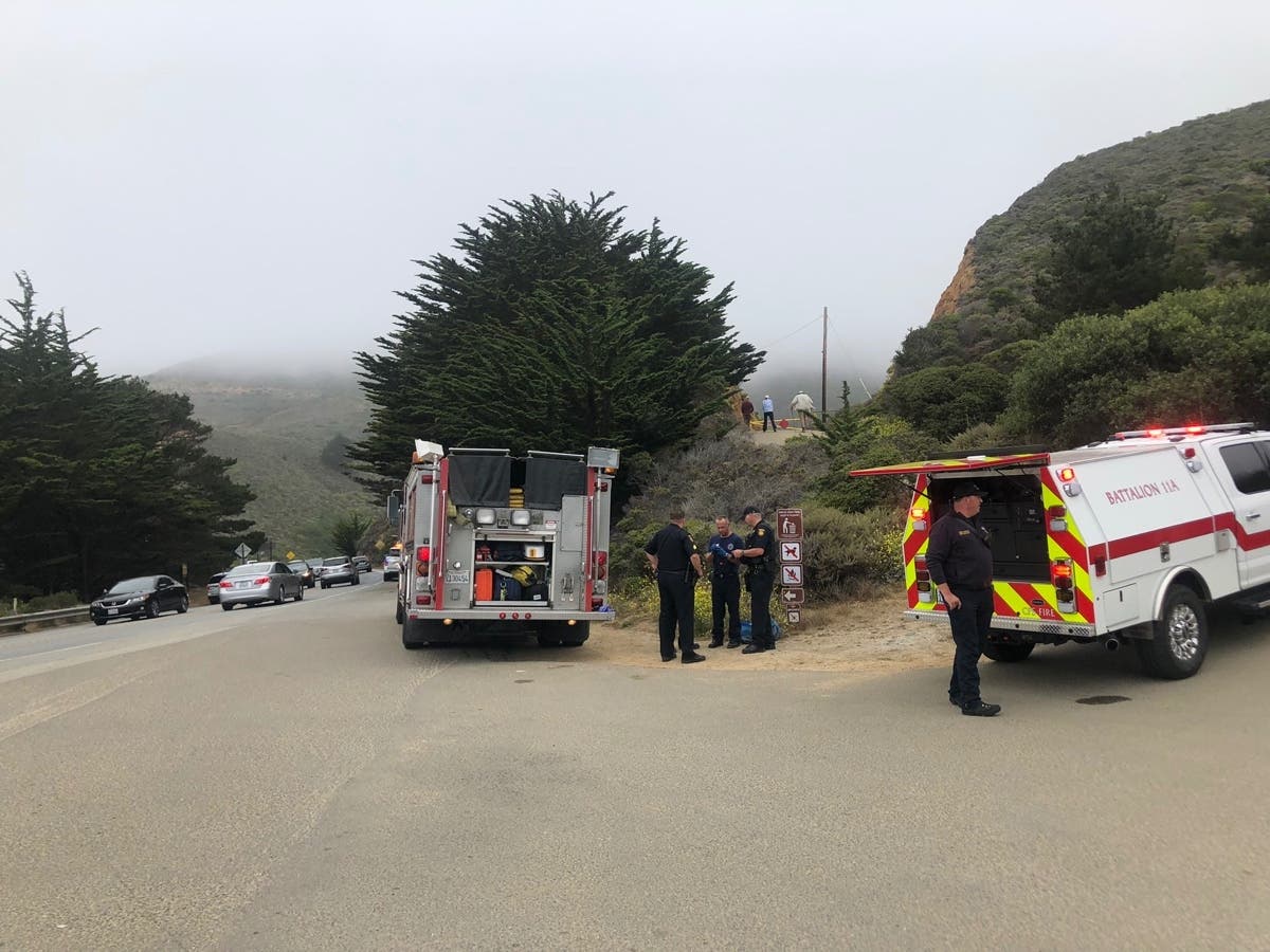 Grey Whale Cove State Beach, near Pacifica, was closed Saturday after a man was bitten by a great white shark. He was rushed to a hospital in serious condition, officials said. 