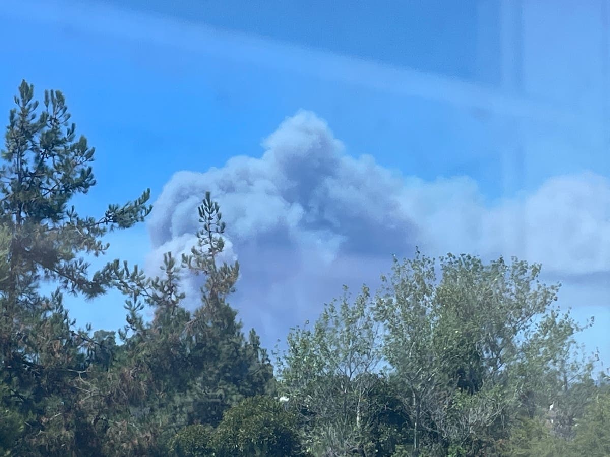 Smoke from the vegetation fire sent large smoke plumes into the air and shrouded the region. A smoke advisory was issued, officials said. 