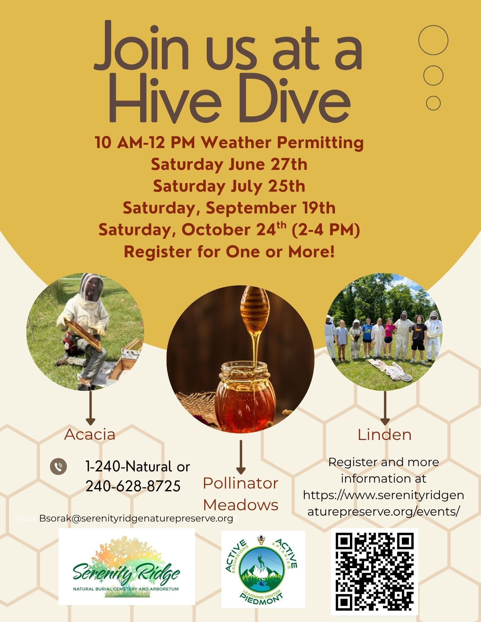 Hive Dive