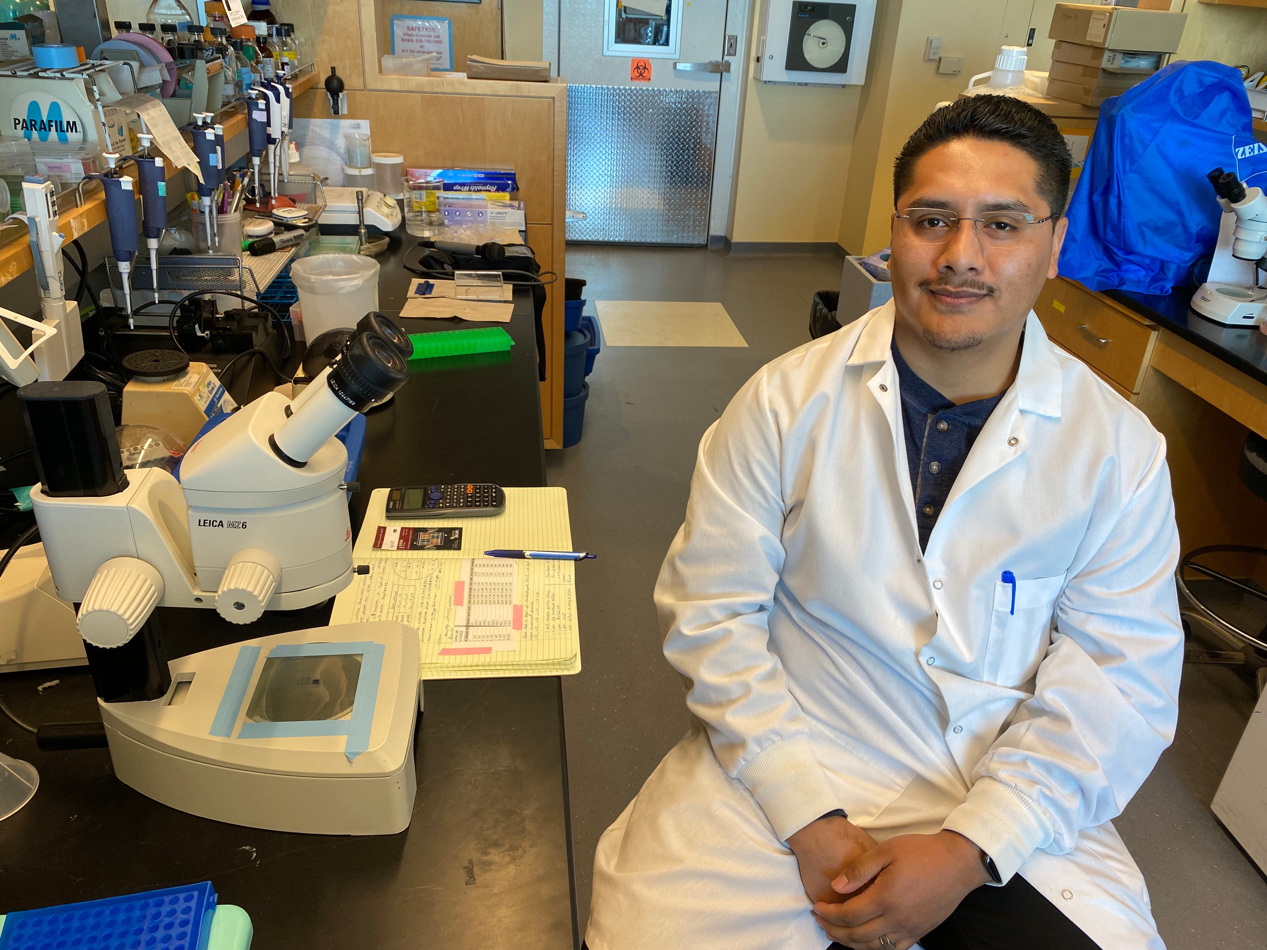 Luis Ortega in the lab at UC Davis