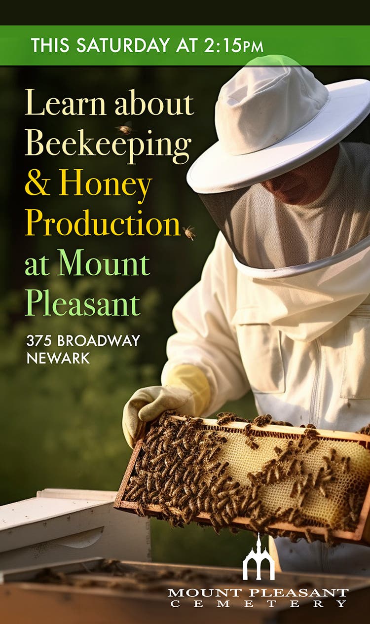 Learn About Beekeeping & Honey Production at Mount Pleasant