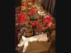 Dozens of care packages ready to be delivered to local seniors with Meals on Wheels. 
