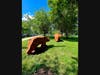 "Mama Bear and Cub," two sculptures by Dale Rogers, currently on the trail at the Summit Village Green. 