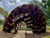 "Louis," a sculpture by DeWitt Godfrey on the Summit Village Green. Composed of intricately stacked steel ovals, this striking hive-like structure engages viewers from afar, inviting them in to admire an interior dome that opens to the sky.