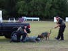 Bryx trains with the Sarasota County Sheriff's Office. 