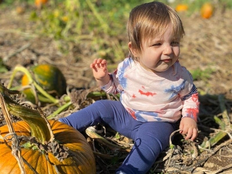 Visits to a pumpkin patch in the Bradenton area can be enhanced with a good read beforehand. 