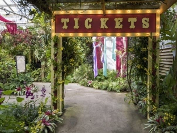 Selby Gardens collaborates with the Ringling Museum of Art for this year’s “Orchid Show 2021: Aerialists from the Tree Top to the Big Top.”