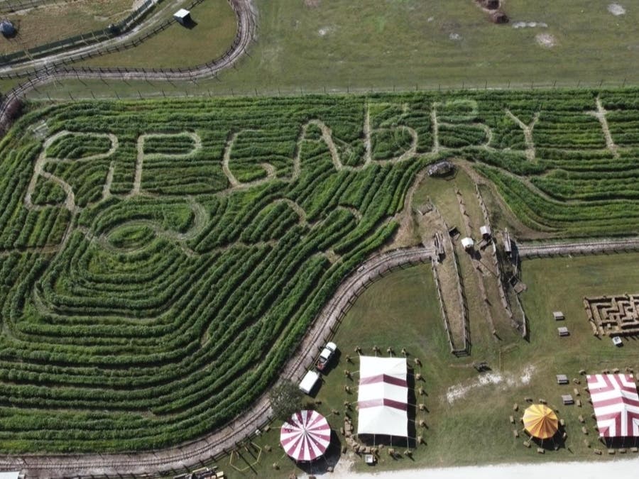 Hunsader Farms in Bradenton designed its annual corn maze as a tribute to Gabby Petito. Partial human remains found at the Carlton Reserve Wednesday are confirmed to belong to her fiance, Brian Laundrie, a person of interest in her death.