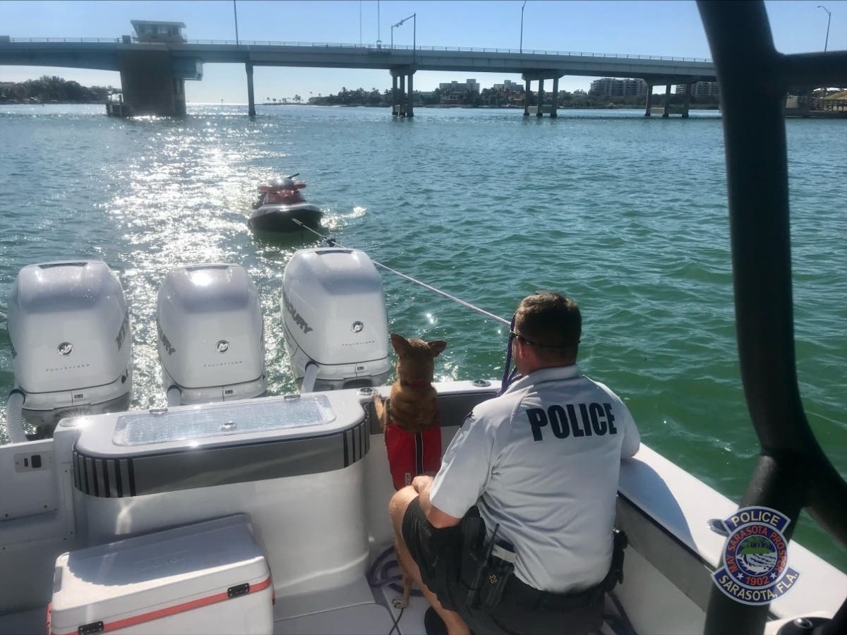 A jet skier and his puppy passenger were forced to abandon their sinking watercraft Wednesday. Officers rescued them from Sarasota waters.