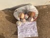 An anonymous donor left used baseballs in honor of their late father, who had Alzheimer’s, at Sarasota’s Cal Ripken Youth Baseball League complex.