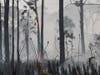 The fire in Myakka State Forest is 95 percent contained as of Monday morning, authorities said.
