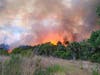 A brush fire in a Charlotte County neighborhood jumped to the Myakka State Forest, where 150 acres have burned since Saturday night.