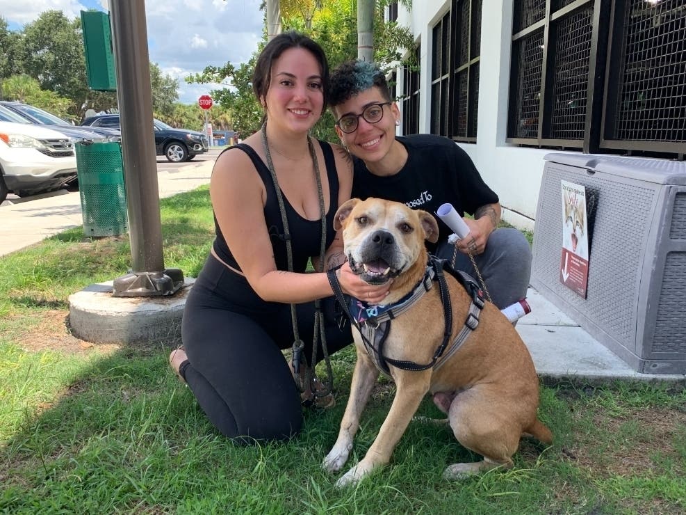 A dog missing for 2 years was reunited with his St. Petersburg family thanks to an updated microchip, the Humane Society of Tampa Bay said.