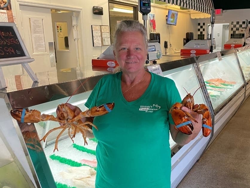 Whitney’s Fresh Market in Hudson found two rare orange lobsters and gave them to the Clearwater Marine Aquarium.