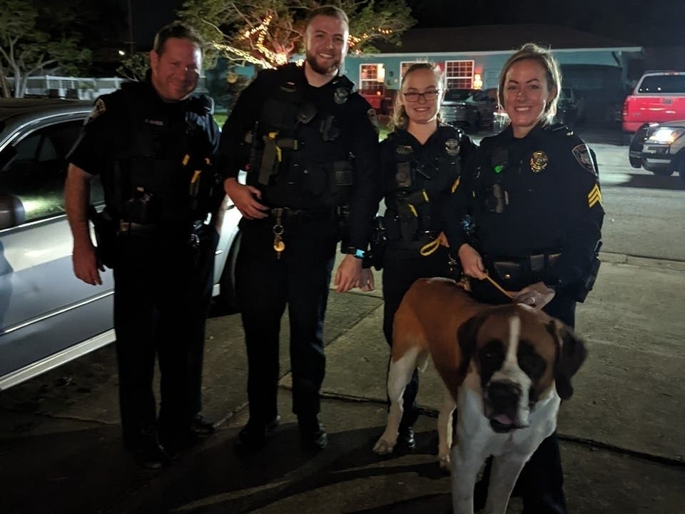 A dog who wandered into a Dollar General in Bradenton in June escaped from his yard to have another adventure this weekend, police said.