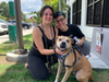 A dog missing for 2 years was reunited with his St. Petersburg family thanks to an updated microchip, the Humane Society of Tampa Bay said.