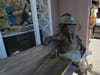 Artist Mike Elwell is selling off his whimsical bench sculptures that lined Beach Drive, delighting St. Pete tourists and residents for about 12 years.