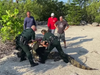 Deputies, Florida Fish & Wildlife Conservation Commission officers and good Samaritans wrangled a crocodile that got stuck between a roadway and fence line in the Florida Keys on Friday, the Monroe County Sheriff's Office said.