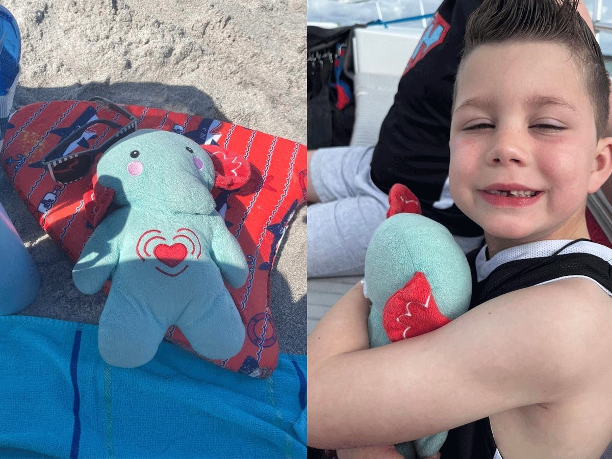 A family visiting Disney and Cocoa Beach lost a stuffed elephant containing their late son’s ashes in its pouch during their trip to Florida last month.